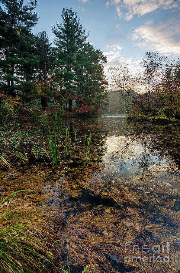 Woodtick Autumn - Fall at a New England Lake Photograph by JG Coleman