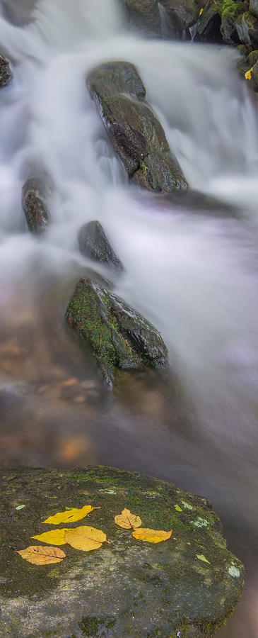Woodward Falls-1 Photograph by Joye Ardyn Durham