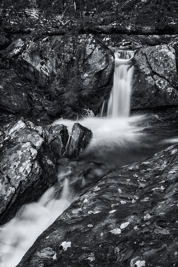 Woodward Falls-3 Photograph by Joye Ardyn Durham