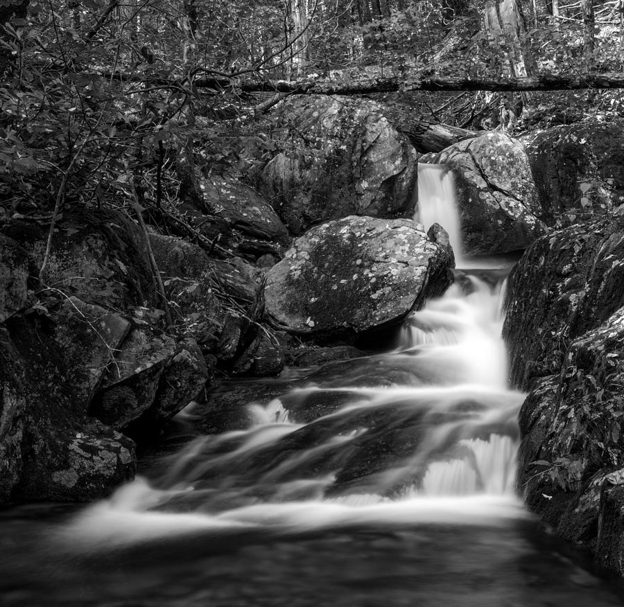 Woodward Falls-BW Photograph by Joye Ardyn Durham