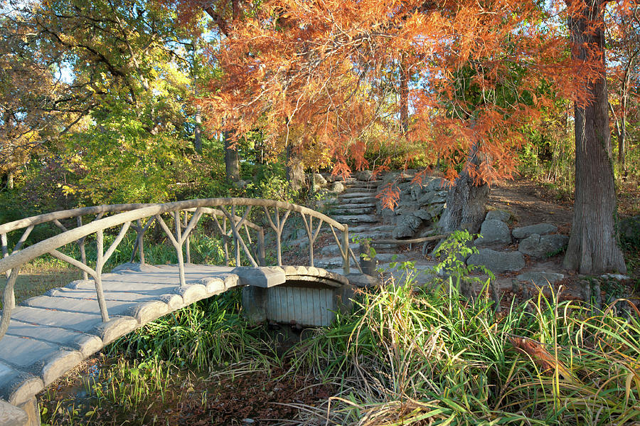 Nature Photograph - Woodward Park Bridge in Autumn - Tulsa Oklahoma by Gregory Ballos