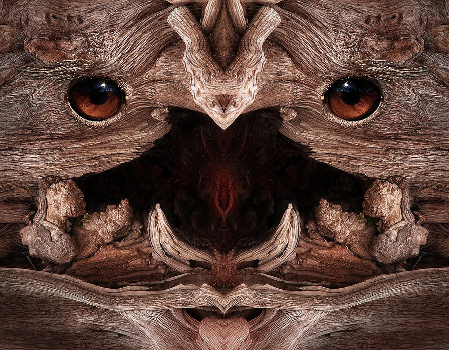 Wood Digital Art - Woody 129 by Rick Mosher Wood Digital Art - Woody 129 by Rick Mosher