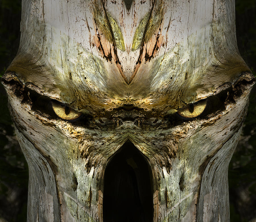 Wood Digital Art - Woody 135 by Rick Mosher Wood Digital Art - Woody 135 by Rick Mosher