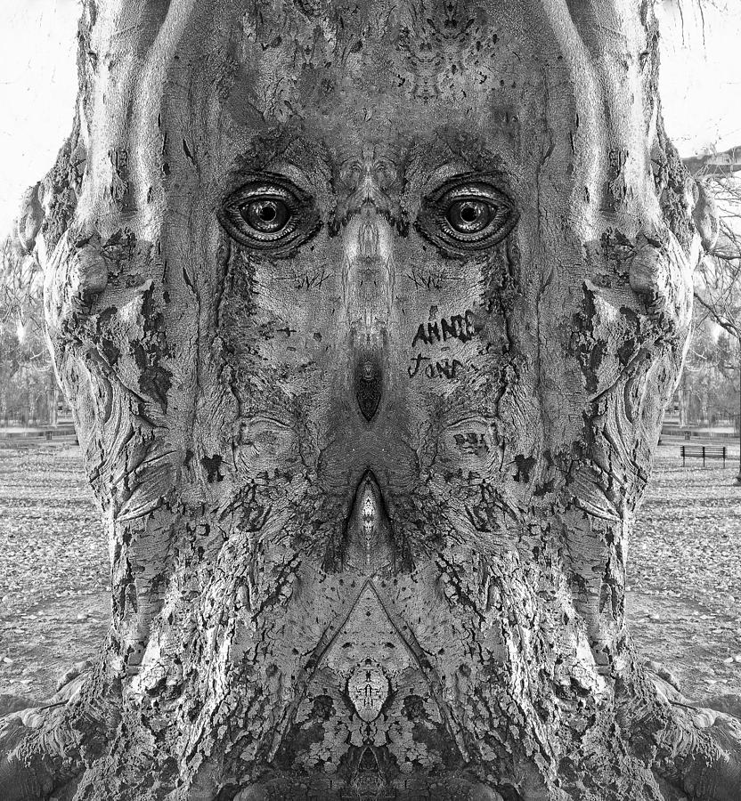 Woody 140BW Digital Art by Rick Mosher