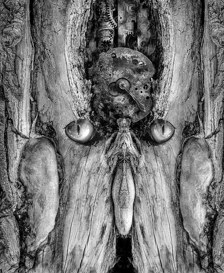 Woody 217 BW Digital Art by Rick Mosher