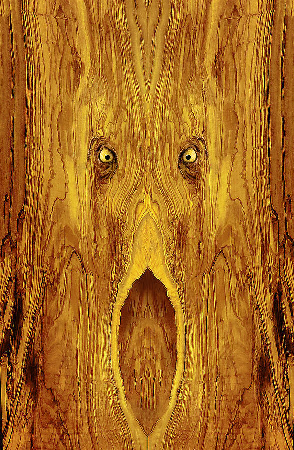 Woody 89 Digital Art by Rick Mosher