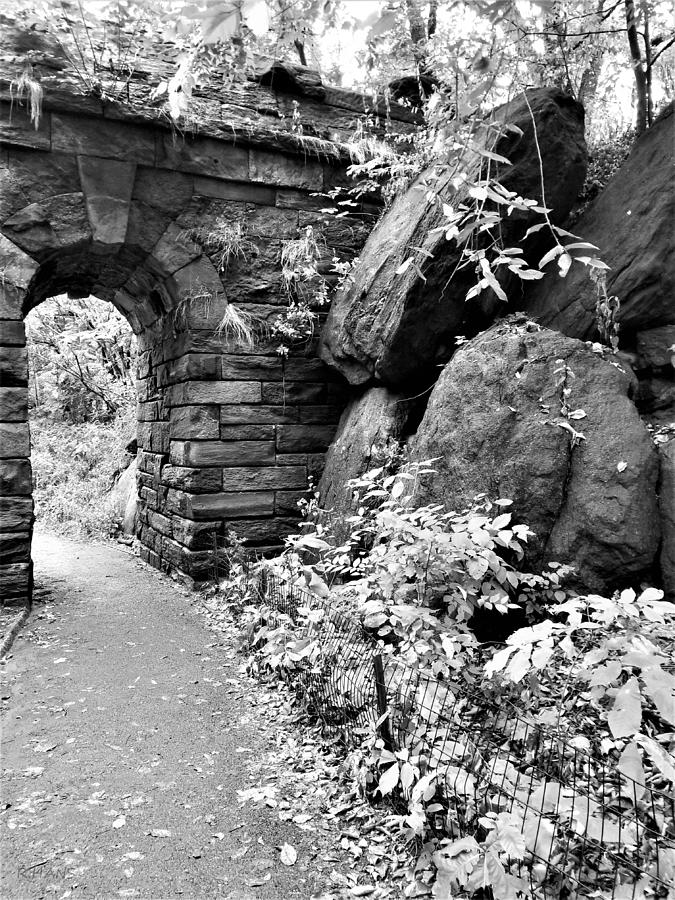 Woody Allen Arch 1 B W Photograph by Rob Hans