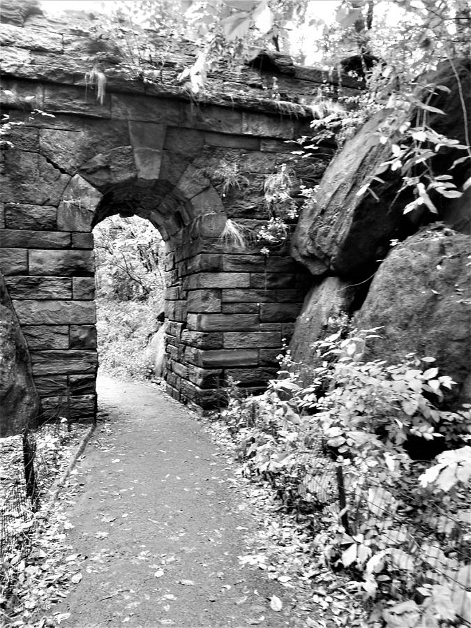 Woody Allen Arch B W Photograph by Rob Hans