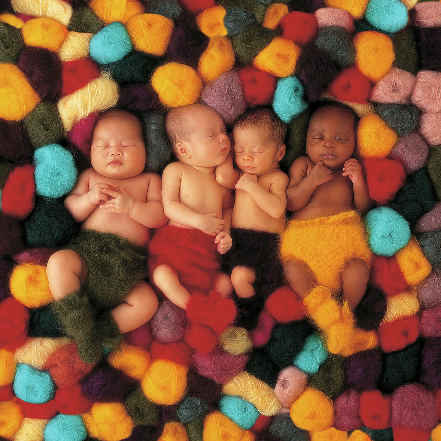 Wool Babies Photograph by Anne Geddes