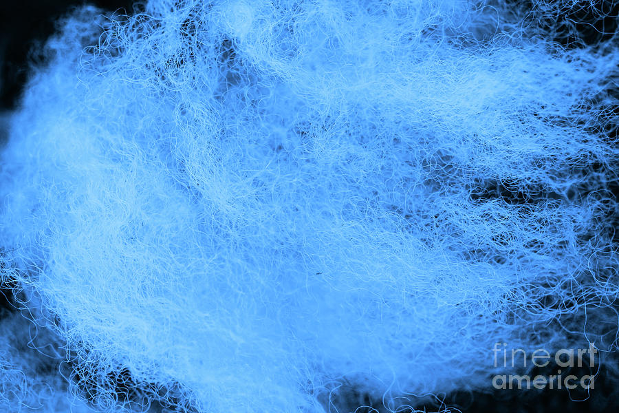 Wool Blue Photograph by Eddie Barron