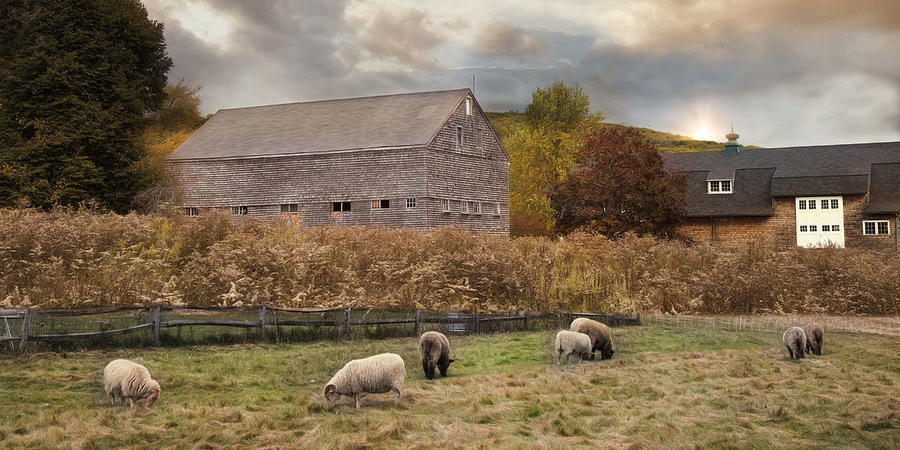 Woolen Fields Photograph by Robin-Lee Vieira