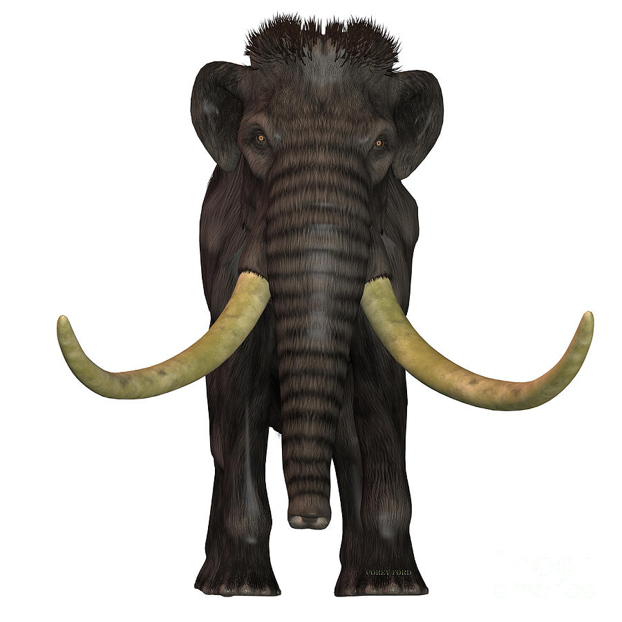 Woolly Mammoth Front Painting by Corey Ford