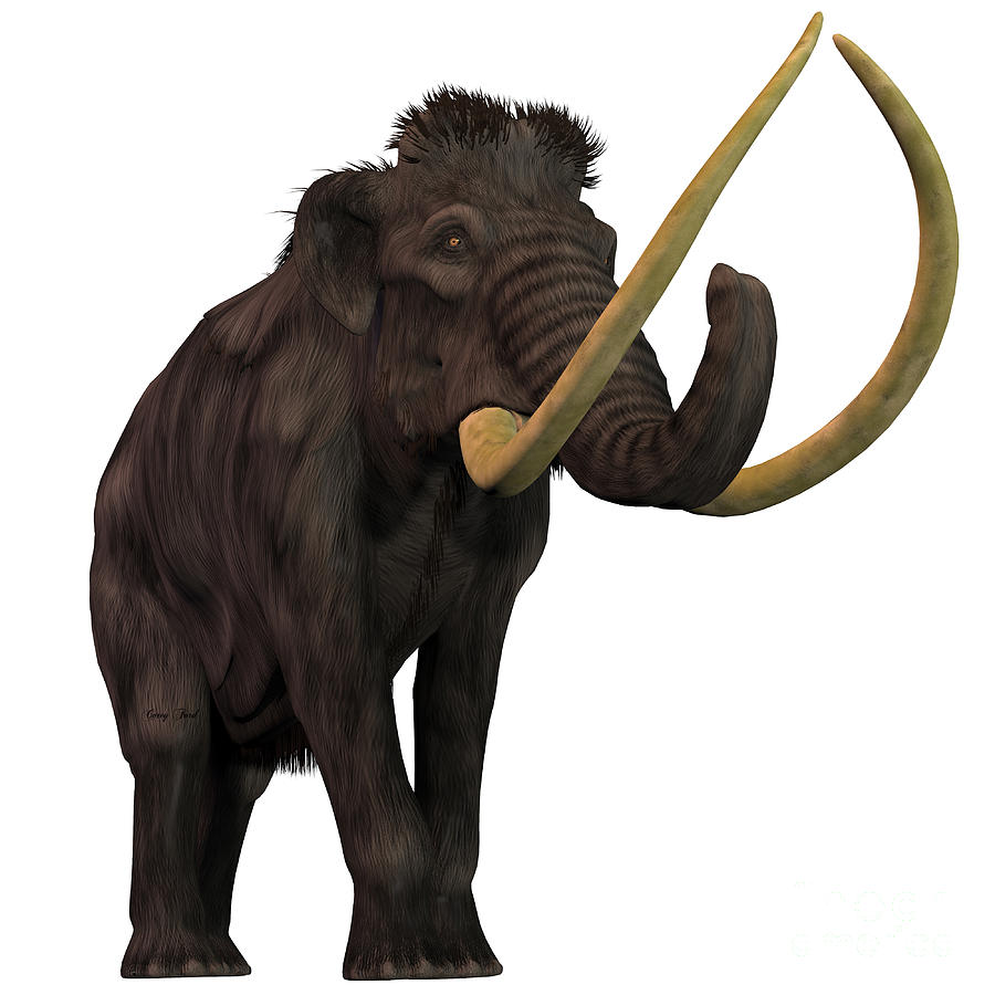 Prehistoric Painting - Woolly Mammoth on White by Corey Ford