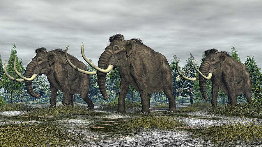 Woolly Mammoth Digital Art by Walter Colvin