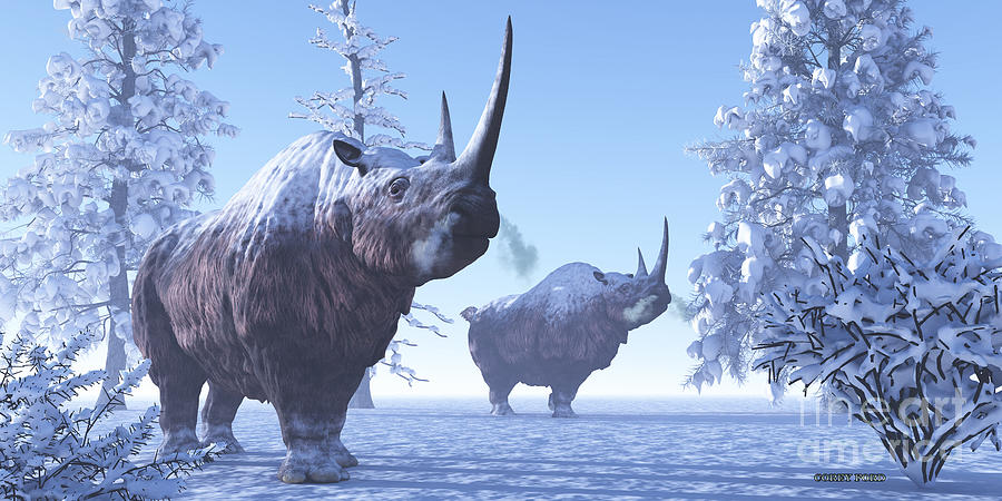 Woolly Rhino Painting by Corey Ford