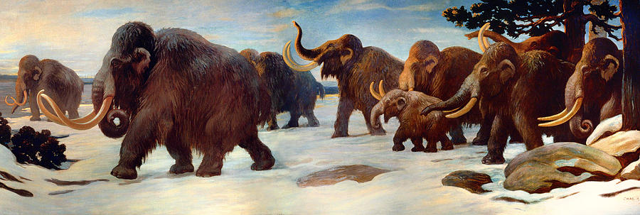 Prehistoric Painting - Wooly Mammoths Near The Somme River by Mountain Dreams