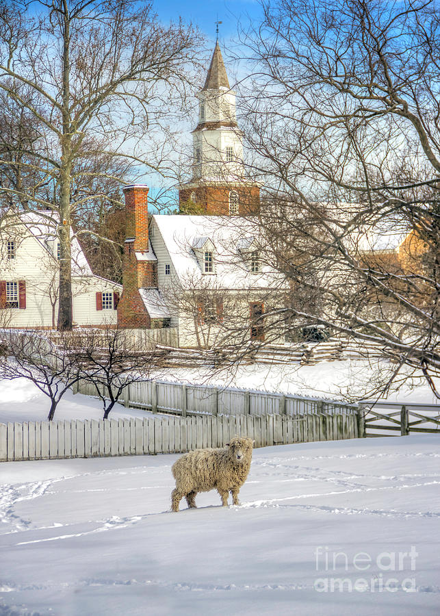 Wooly Winter in Colonial Williamsburg Photograph by Karen Jorstad