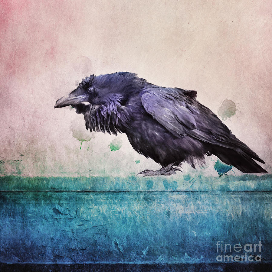 Raven Photograph - Words of a Raven by Priska Wettstein