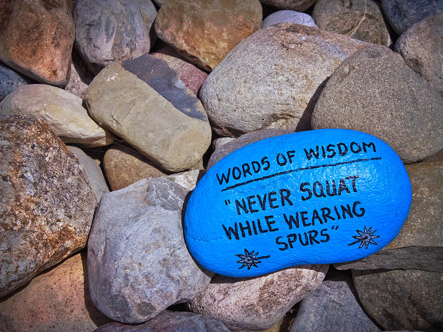 Words of Wisdom Photograph by Colleen Kammerer
