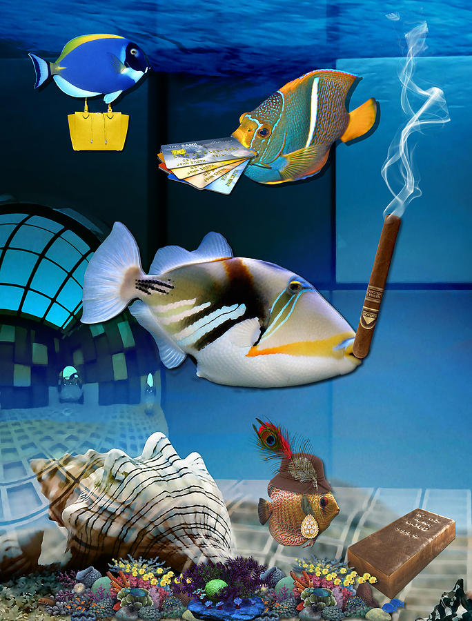 Order, Order, Order, Going Shopping Saltwater Triggerfish Mixed Media by Marvin Blaine