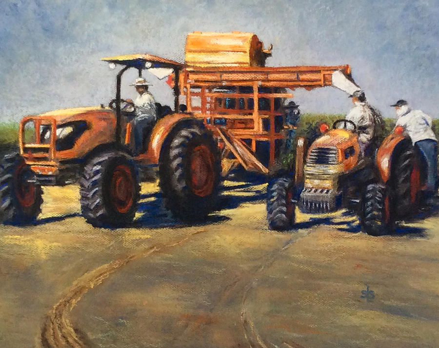 Workin at The Ranch Pastel by Sandra Lee Scott