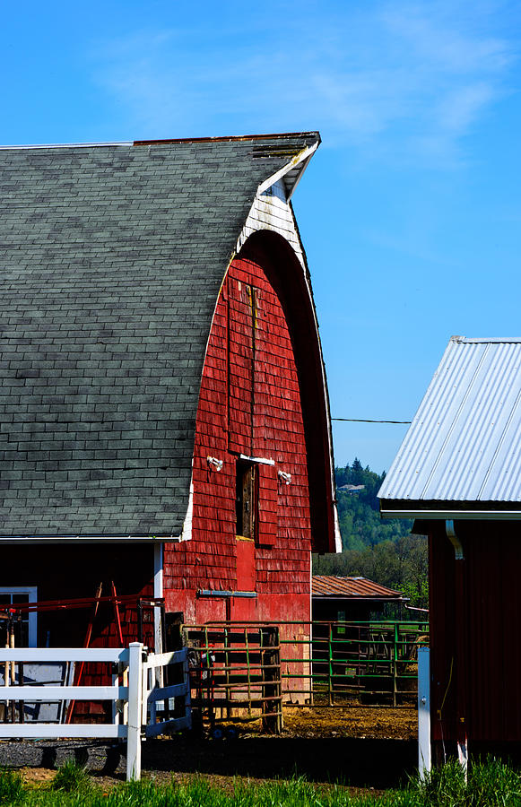 Working Barn Photograph by Tikvahs Hope
