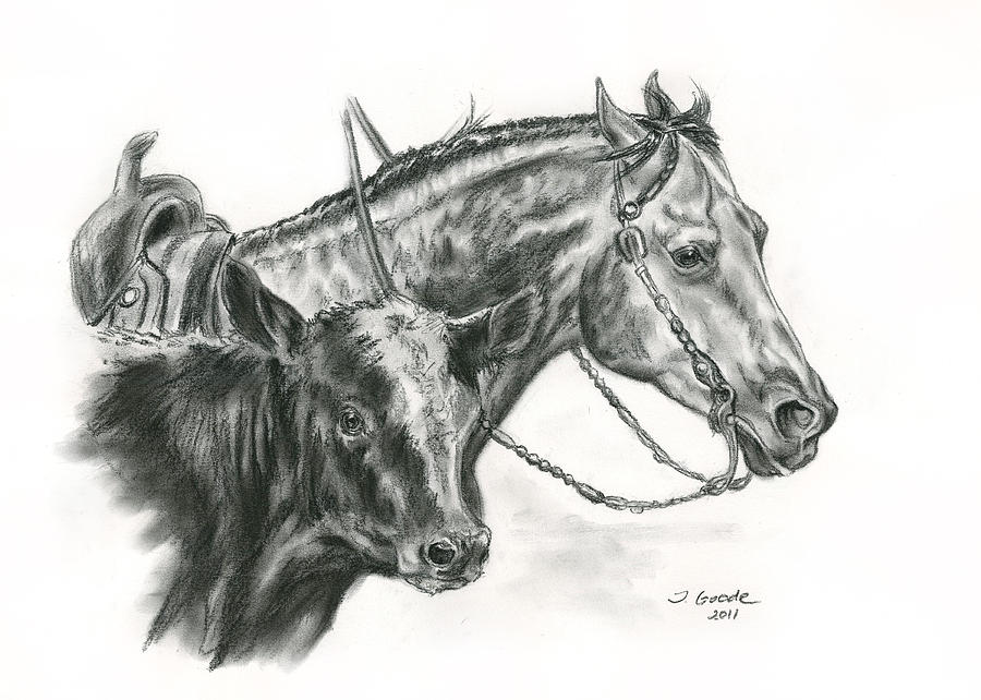 Working Cowhorse Drawing by Jana Goode