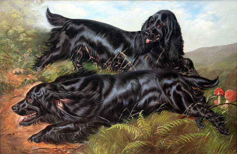 Working Field Spaniels Painting by Celestial Images