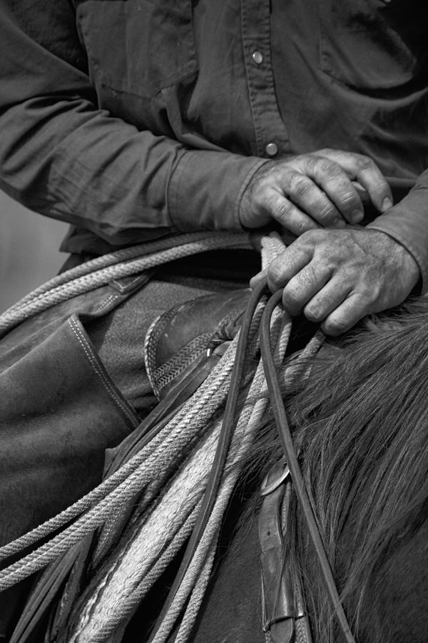 Working Hands Photograph by Crystal Nederman