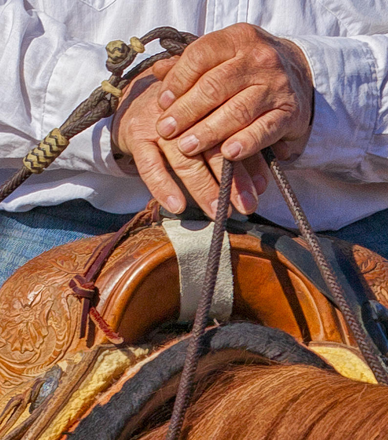 Horse Photograph - Working Hands by David Wagner