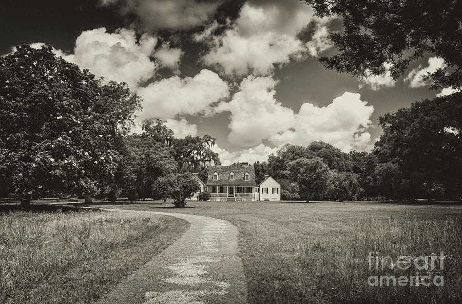 Working Plantation And Country Estate Photograph