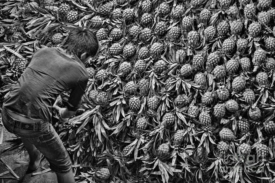 Working Produce Market Hanoi BW Photograph by Chuck Kuhn