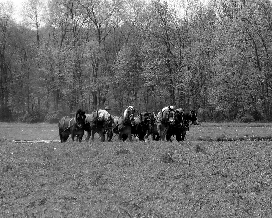 Working the Fields 2 Photograph by George Jones