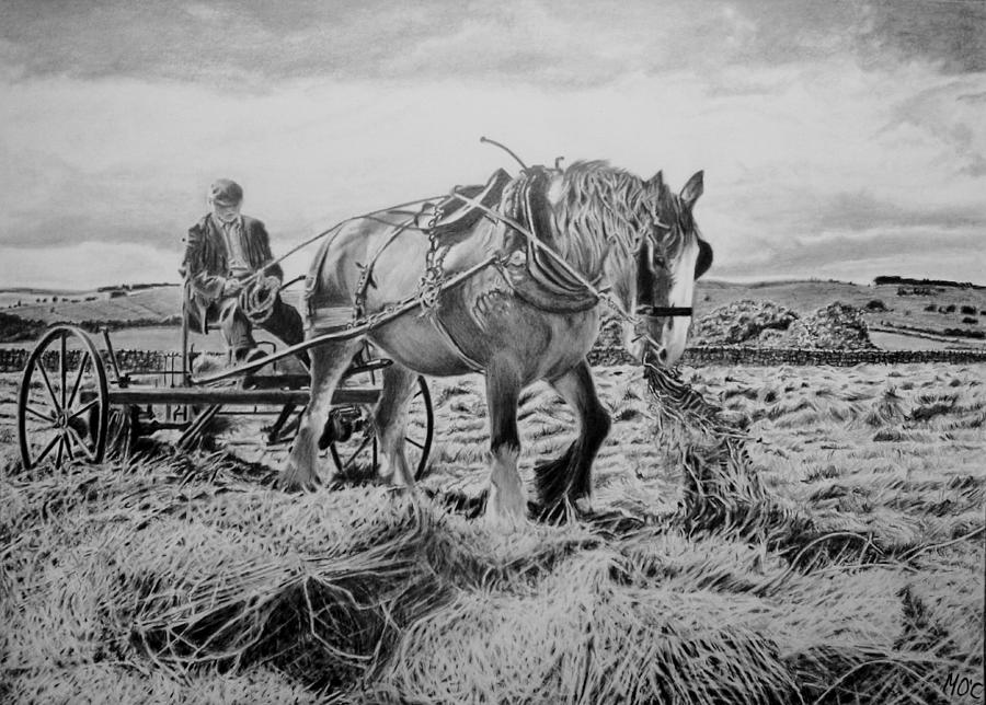Horse Drawing - Working The Land by Mike OConnell