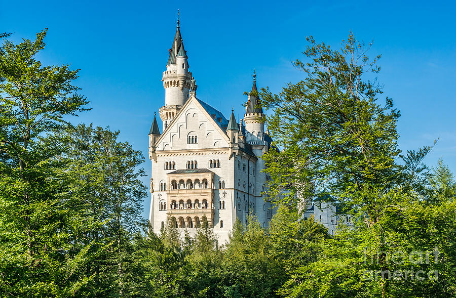 World-famous Neuschwanstein Castle on a sunny day, Germany Photograph by JR Photography