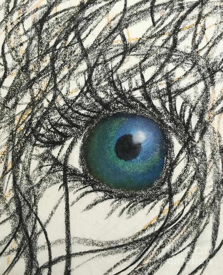 World in my Eyes Drawing by Buffy Heslin