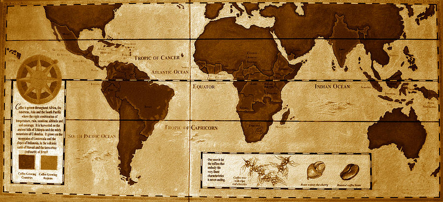 World Map of Coffee Photograph by David Lee Thompson