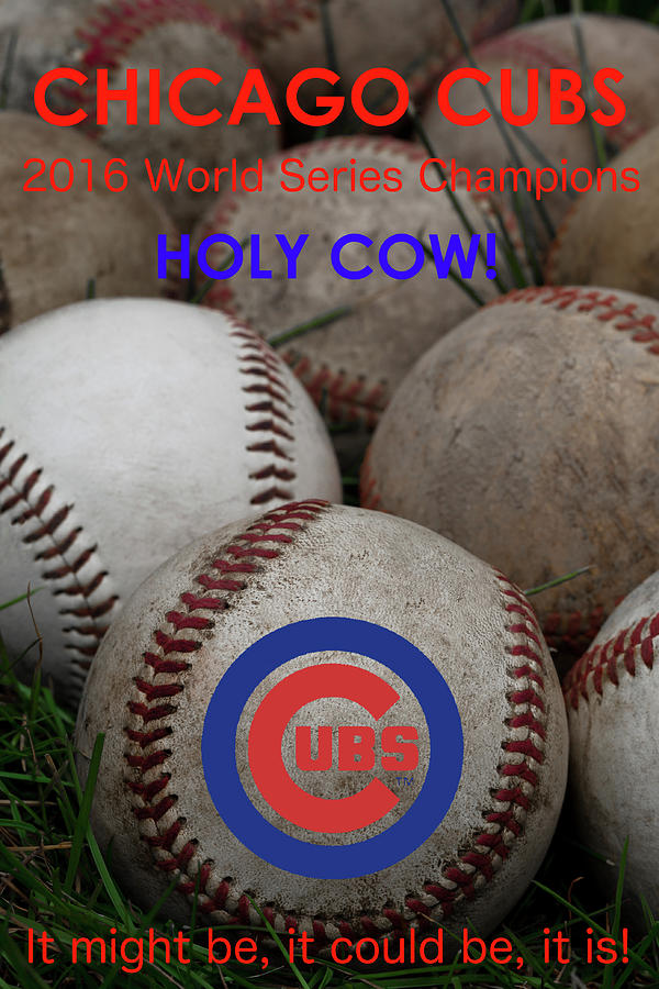 World Series Champions - Chicago Cubs Photograph by David Patterson