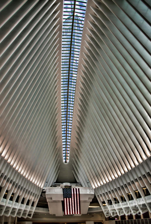 World Trade Center Photograph by Shirley Mangini