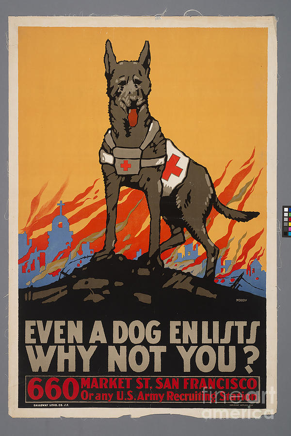 World War 2 poster Even a Dog Enlists Why Not You? Painting by Vintage ...