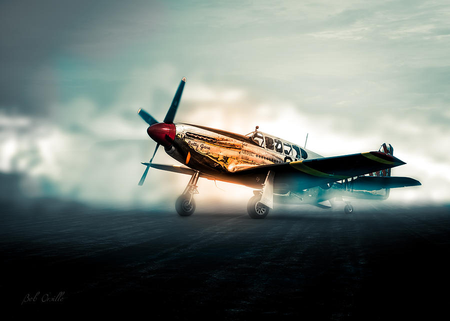 World War Two North American TP-51c Mustang Photograph by Bob Orsillo