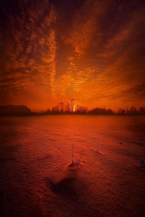 Winter Photograph - World Without End by Phil Koch