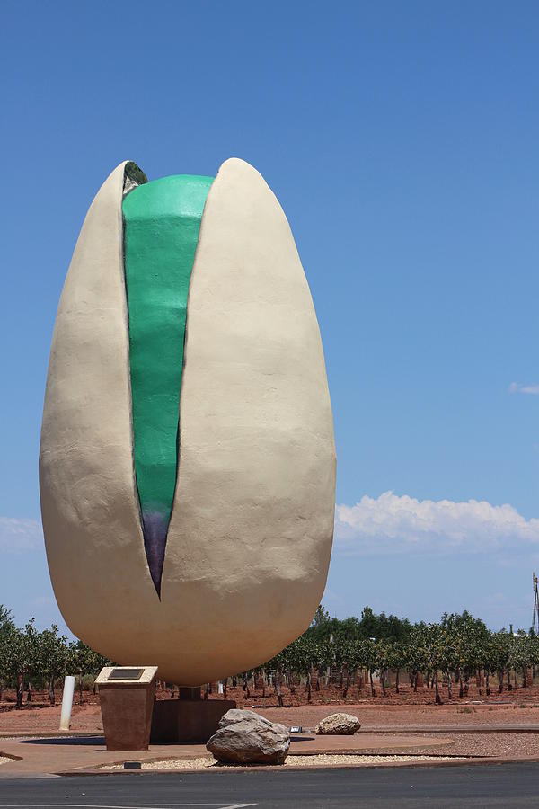 Worlds Largest Pistachio Photograph by Colleen Cornelius