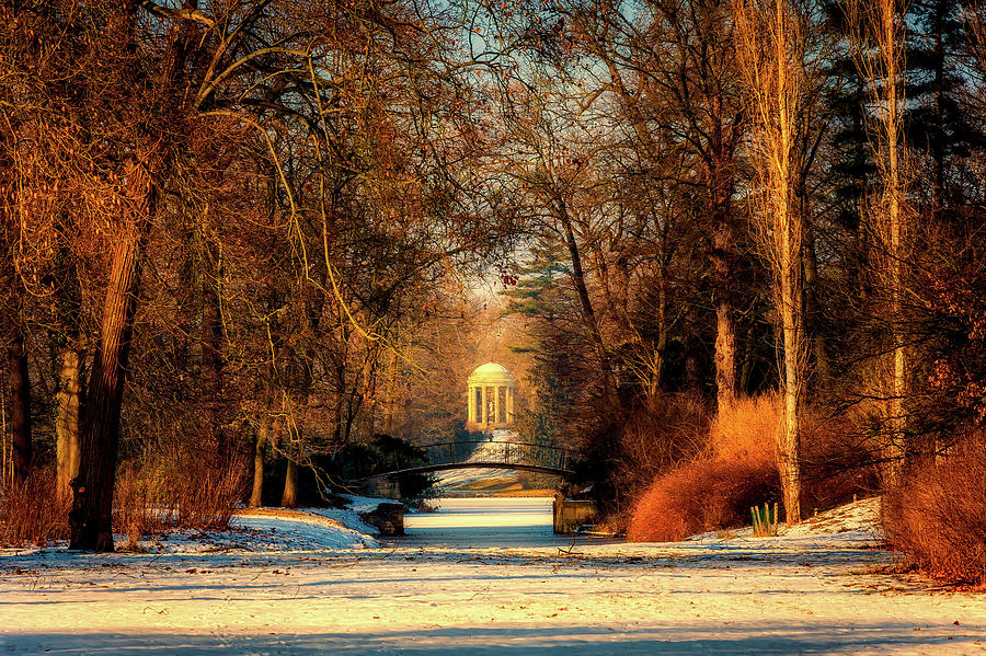 Worlitz Park In Winter Photograph by Mountain Dreams
