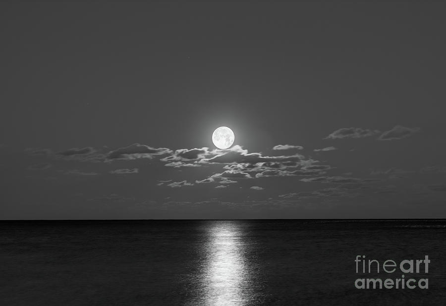 Worm Moon Rising over The Atlantic BW Photograph by Michael Ver Sprill