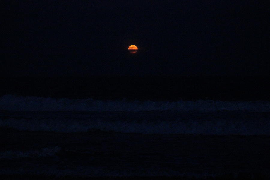Worm Moon Rising Photograph by Robert Banach