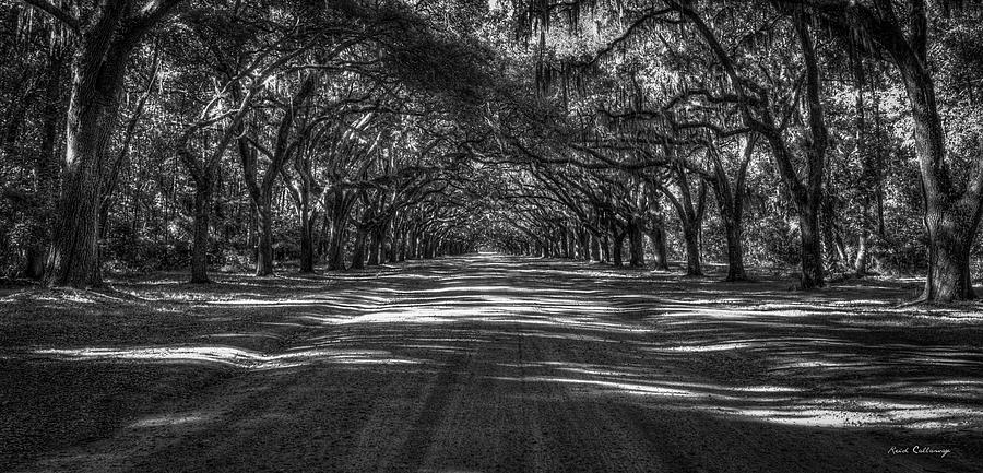 Savannah Ga Photograph - Wormsloe Plantation 2 live Oak Avenue Art by Reid Callaway