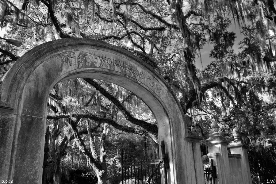 Wormsloe Historic Site Isle Of Hope GA Black And White Photograph by Lisa Wooten