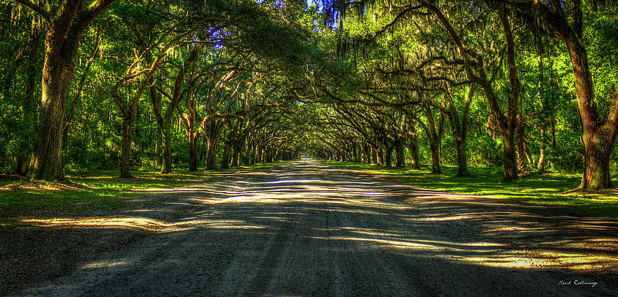 Tree Tunnel Shadows Of Wormsloe Plantation Oak Avenue Georgia Art Photograph by Reid Callaway
