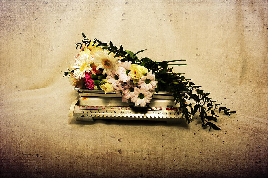 Worth its Weight in Flowers Photograph by Randi Grace Nilsberg